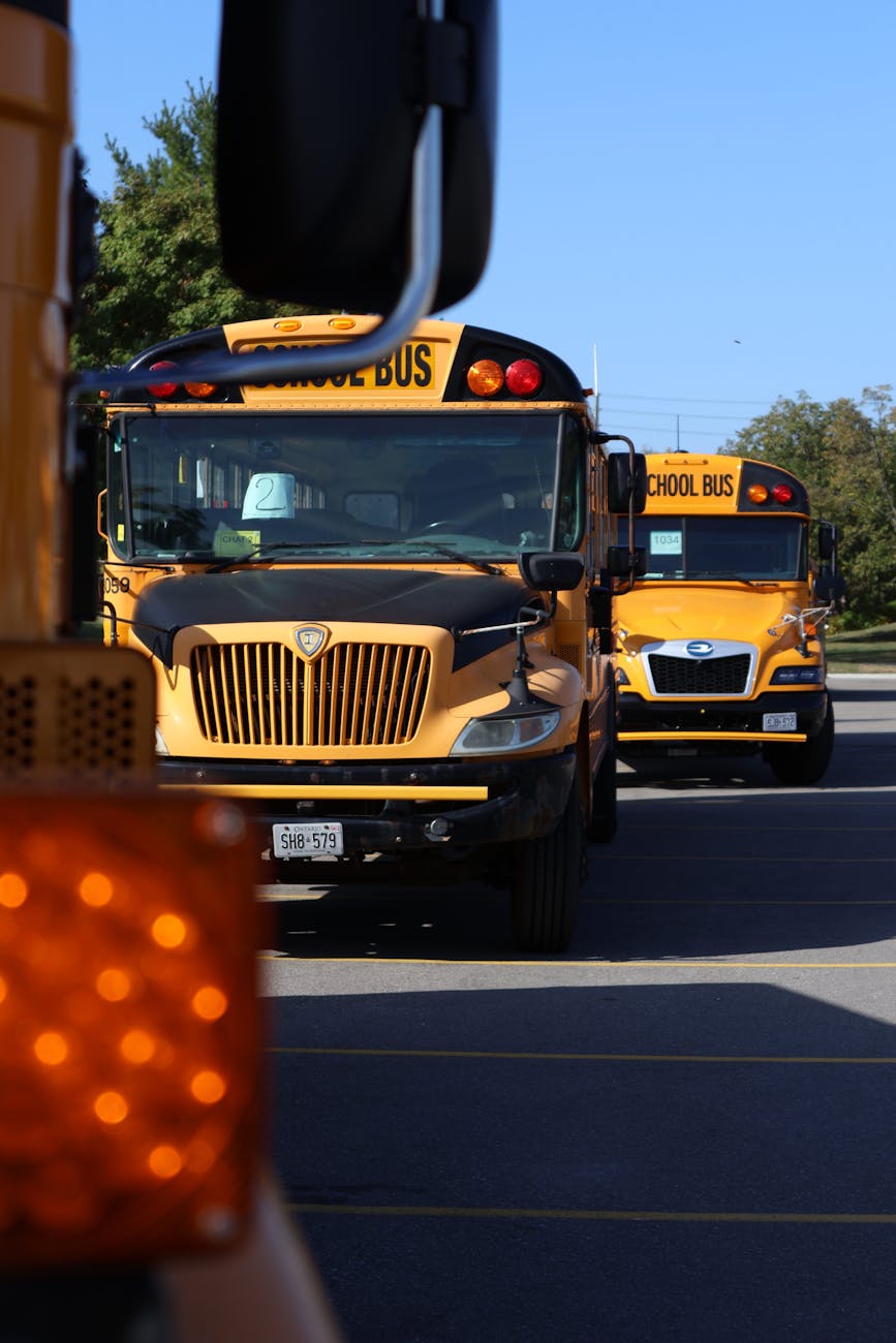 yellow school buses in parking lot in daylight