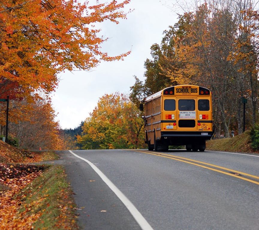 yellow school bus on the asphalt road