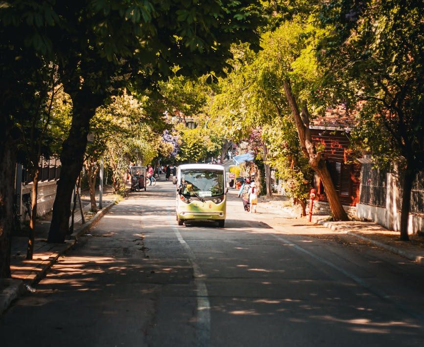 minibus on a tree shaded street