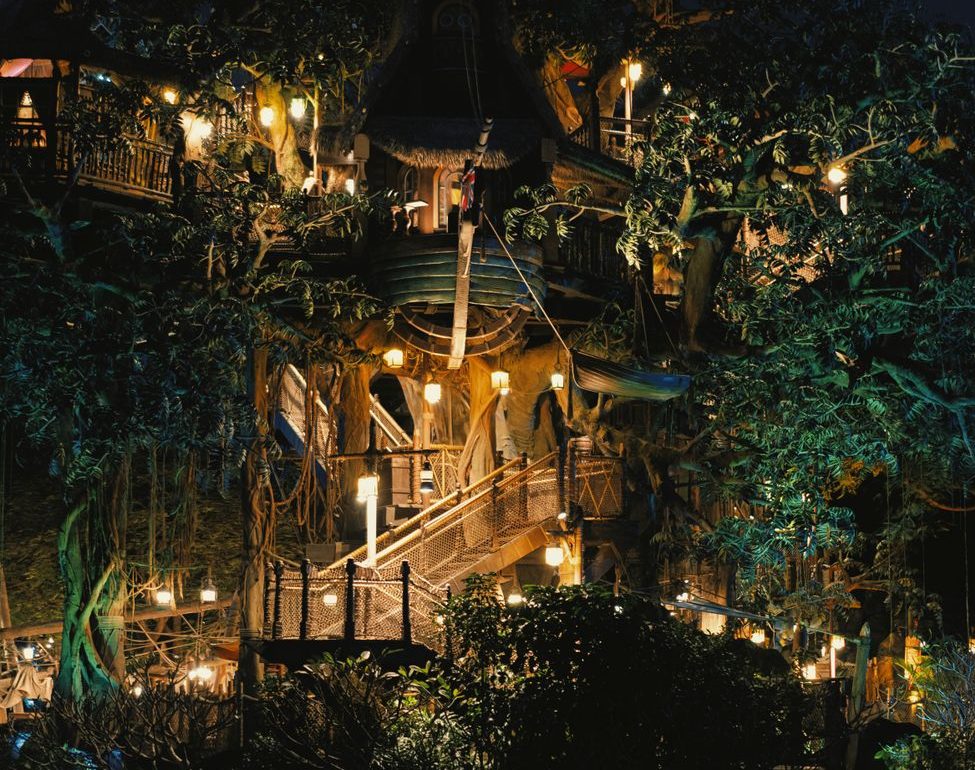 magical treehouse lit up at night
